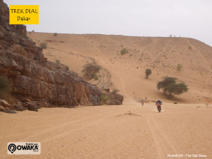 Trek-Dial-Dakar-desert