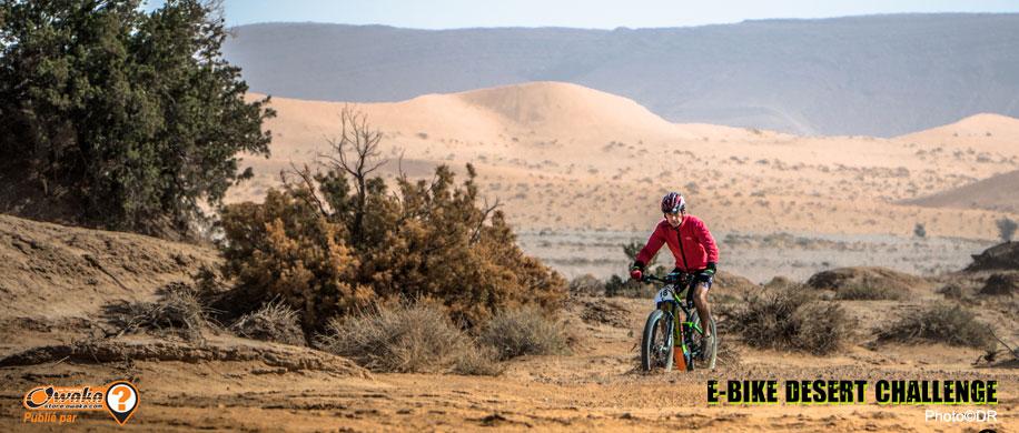 20-04-07 News E-Bike Desert Challenge 3
