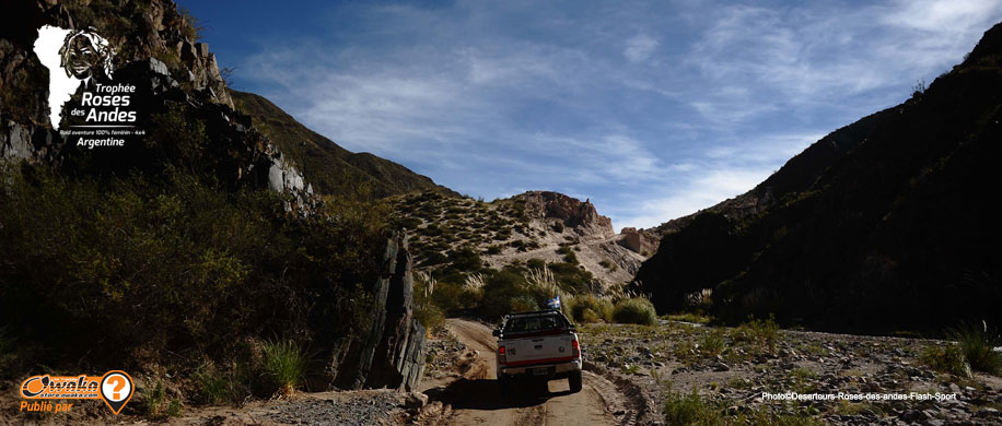 Rallye-Raid, Trophée Roses Des Andes