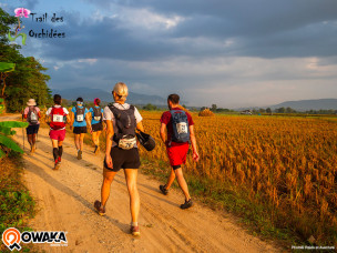 Trail Des Orchidées