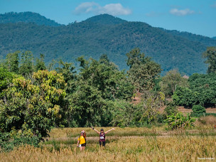 Trail des Orchidées, Trail, Thaïlande, randonnée, marche, trek, trail, sport, voyage thailande, vacance sportive, trailer, runner