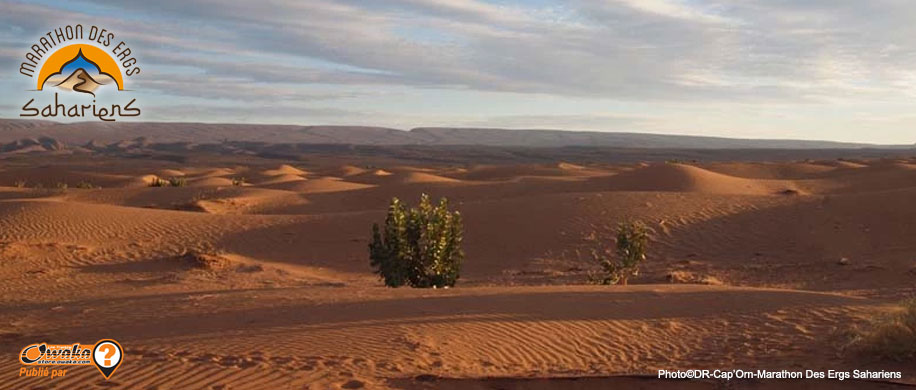 Marathon des ergs sahariens, cap'orn, maroc