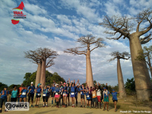 trail-ile-rouge-madagascar-trek-course-orientation-aventure-challenge-voyage-arbre