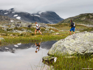 defi des trolls, trail norvege, trek norvege, randonnée norvege, trail trek, norvege, marche, trail norvege, trek norvege