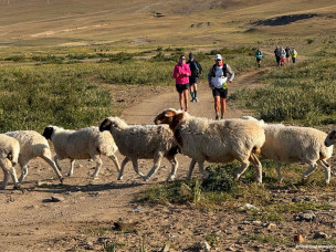 raid-mongolie-trail-trek-course-a-pieds-aventure-challenge-défi-run-runner-trailer-orientation