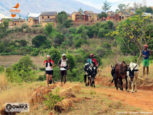 Ultramad-Madagascar-trail