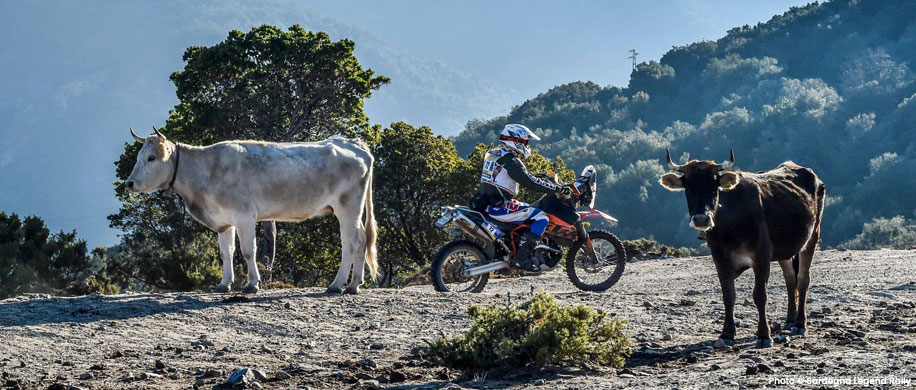 Sardegna Legend Rally - Rallye Raid - Sardaigne