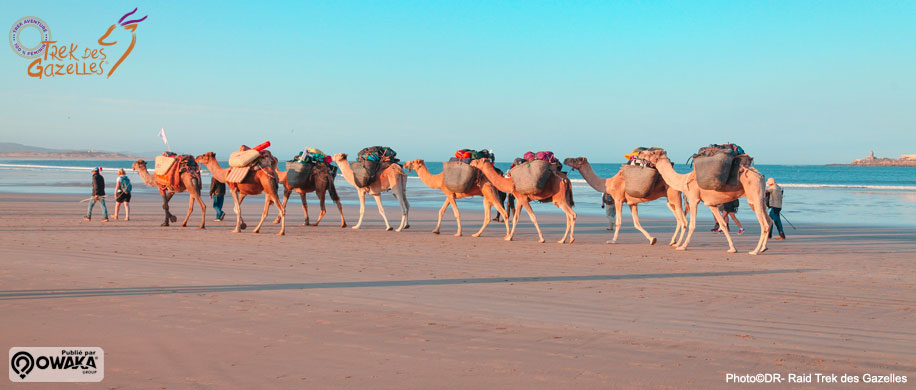 Trek des Gazelles, Trekking, maroc, trek féminin, marche à pied