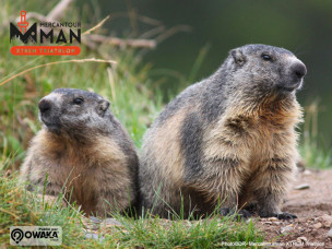 MercantourMan XTREM Triathlon