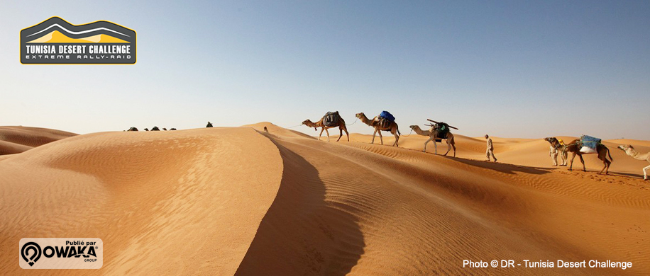 tunisia-desert-challenge-2021-news-03