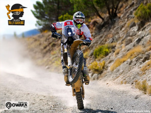 Swank Rally Di Sardegna 