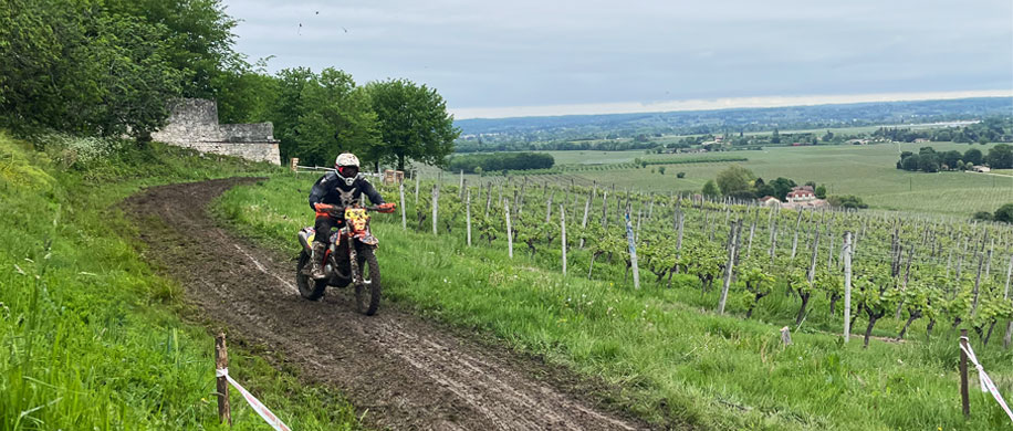 grappe de cyrano périgord