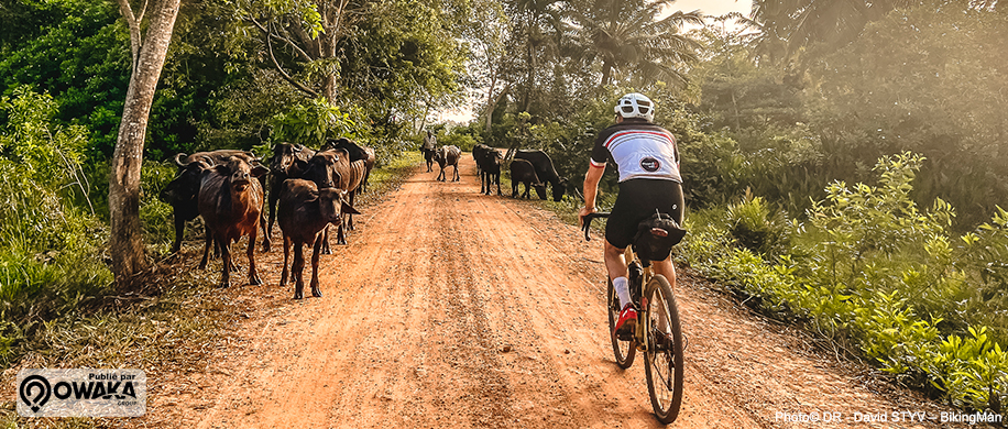 axel-carion-bikingman-sri-lanka-expedition-cycling-bikepacking-aventure-decouverte-voyage-bike