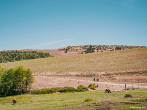 Across Andes, Across Andes 2026, ultra cyclisme Chili, gravel Patagonie, bikepacking Chili, course vélo aventure, raid gravel, Pucón, Araucanía, traversée des Andes vélo, ultra endurance cyclisme, 800 km vélo, aventure Owaka