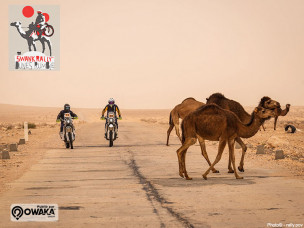 tenere-tenere700-moto-rally-swank-rally-tunisia-deusexmachina-baja-rallyeraid-enduro-moto-mototrail-tunisie-dakar-offroad