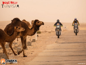Dune Rally Tunisia - Swank Rally Tunisia