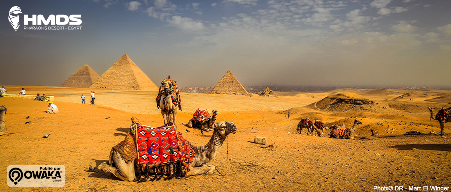 hmds-trail-trek-egypt-voyage-aventure-marche-sport-randonnée