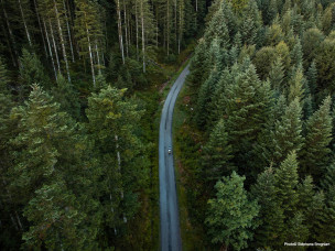 stephane brogniart, cycling, velo, bikepacking, autosuffisance, challenge, sport, vosges