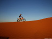 Maroc 125 Trophée 
