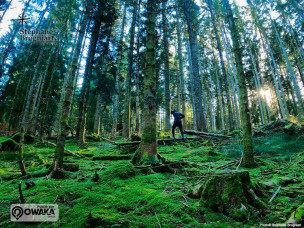 La Clé de Douze, trail Stéphane Brogniart, trail aventure france, course trail vosges, ultra trail vosges france