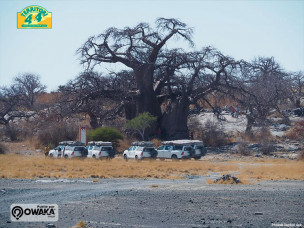 raid 4x4 namibie, voyage 4x4 namibie, expedition tout terrain 4x4, safari 4x4 botswana