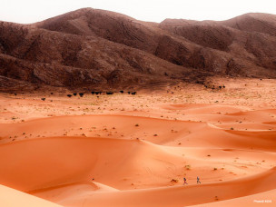 mds ultra, marathon des sables, marathon des sables ultra-trail, ultra-trail maroc, course auto-suffisance