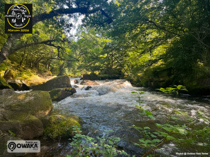 Outdoor Raid Series n'est autre que la manche française de la Coupe d’Europe de Raid Aventure ARWS Europe Series 2026 qui se déroule dans le Morvan en juillet !