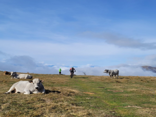 Découvrez l'Ariégeoise VTT ! Une rando VTT montagne 100% plaisir et technique au cœur des Pyrénées. 4 parcours de 32 à 80km (ouverts aux VTTAE). Toutes les infos sur Owaka.