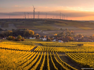 Relevez le défi du GravelMan Bordeaux. Une aventure ultra-cyclisme de 60 à 500 km à travers les vignobles et le littoral girondin.