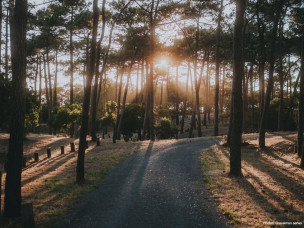 Relevez le défi du GravelMan Bordeaux. Une aventure ultra-cyclisme de 60 à 500 km à travers les vignobles et le littoral girondin.