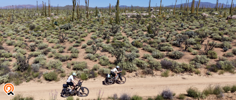 Découvrez le récit d'Axel Carion ! 14 jours de bikepacking extrême en totale autonomie dans le désert mexicain. Survie, gravel, rencontres et gestion de l'eau sur la Baja Divide.