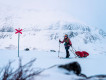 MONTANE ARCTIC SPINE