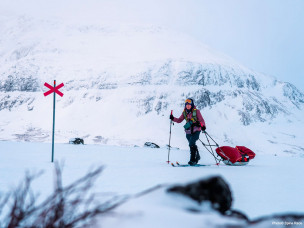 MONTANE ARCTIC SPINE