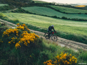 L'Ahuña Triathlon, c'est 180 km en moins de 24h pour traverser l'Iparralde d'ouest en est : 3 km de nage en océan, 146 km de gravel/VTT et 32 km de trail jusqu'au pic d'Anie, en autonomie totale. Découvrez ce challenge unique au Pays Basque sur Owaka.