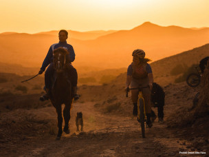 Desert Bike Race : course gravel par étapes dans le Sahara tunisien du 11 au 18 octobre. Race 425 km ou Experience 250 km. Tarifs, formats et programme.