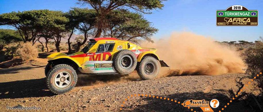 Africa Eco Race 2019 - Buggy