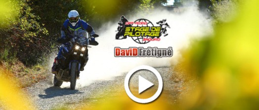 [Vidéo] David FRETIGNE - Stage et Organisation